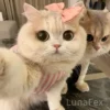 Luna – LunaFex™ My Interactive Robot Kitten